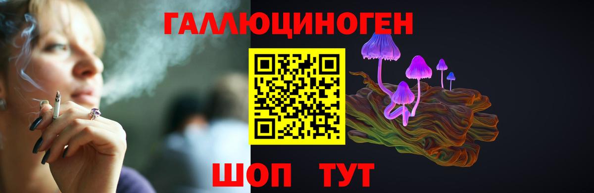 Псилоцибиновые грибы мицелий Славгород